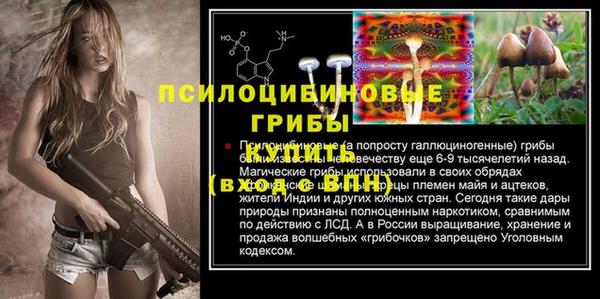 бошки Арсеньев