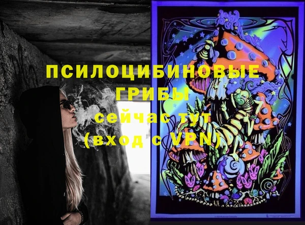 прущий лед Аркадак