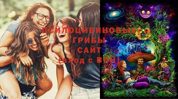 бошки Арсеньев